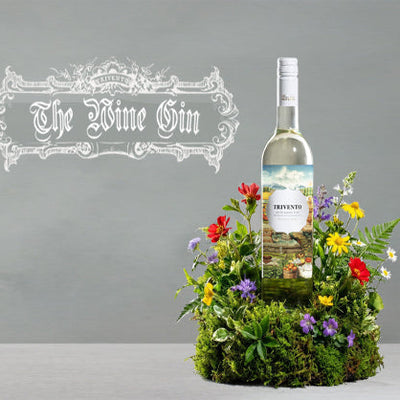 The Wine Gin: vino y botánicos se encuentran