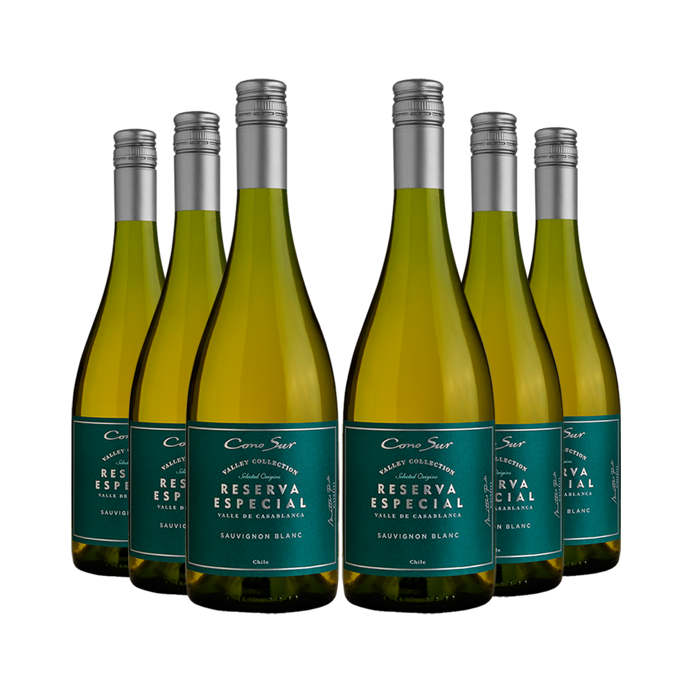 Cono Sur Reserva Especial Sauvignon Blanc