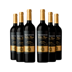 Trivento Golden Reserve Malbec